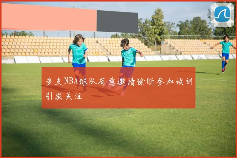 多支NBA球队有意邀请徐昕参加试训引发关注